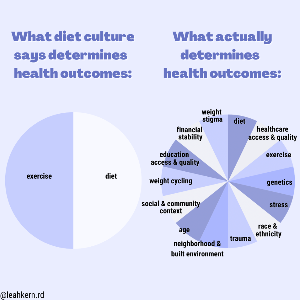 DETERMINANTS OF HEALTH INCLUDE visual data 8