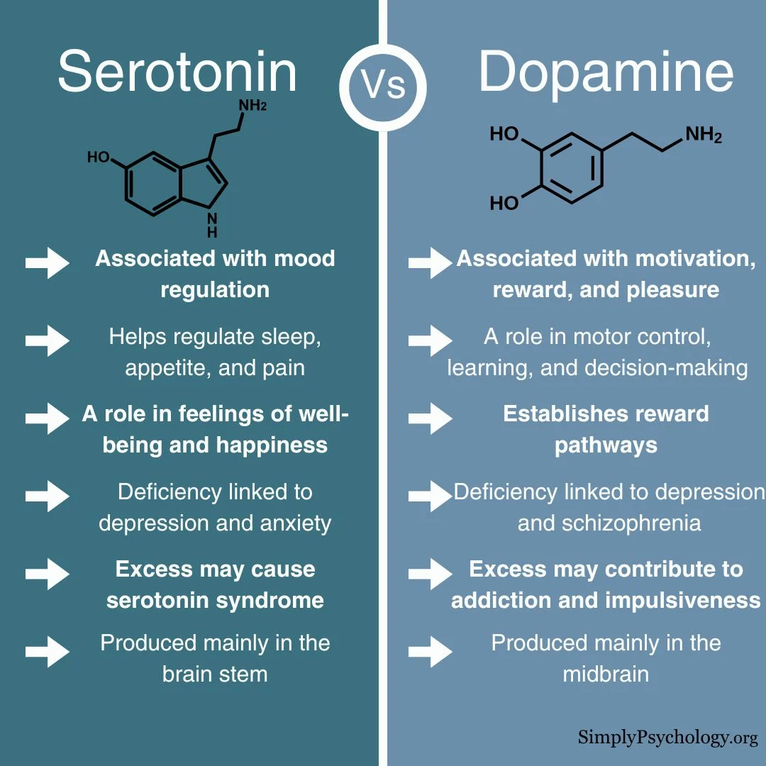 This is an image of a blue chart comparing the differences between serotonin and dopamine in a blog post about why do I crave sweets?