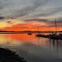 IMG_2466